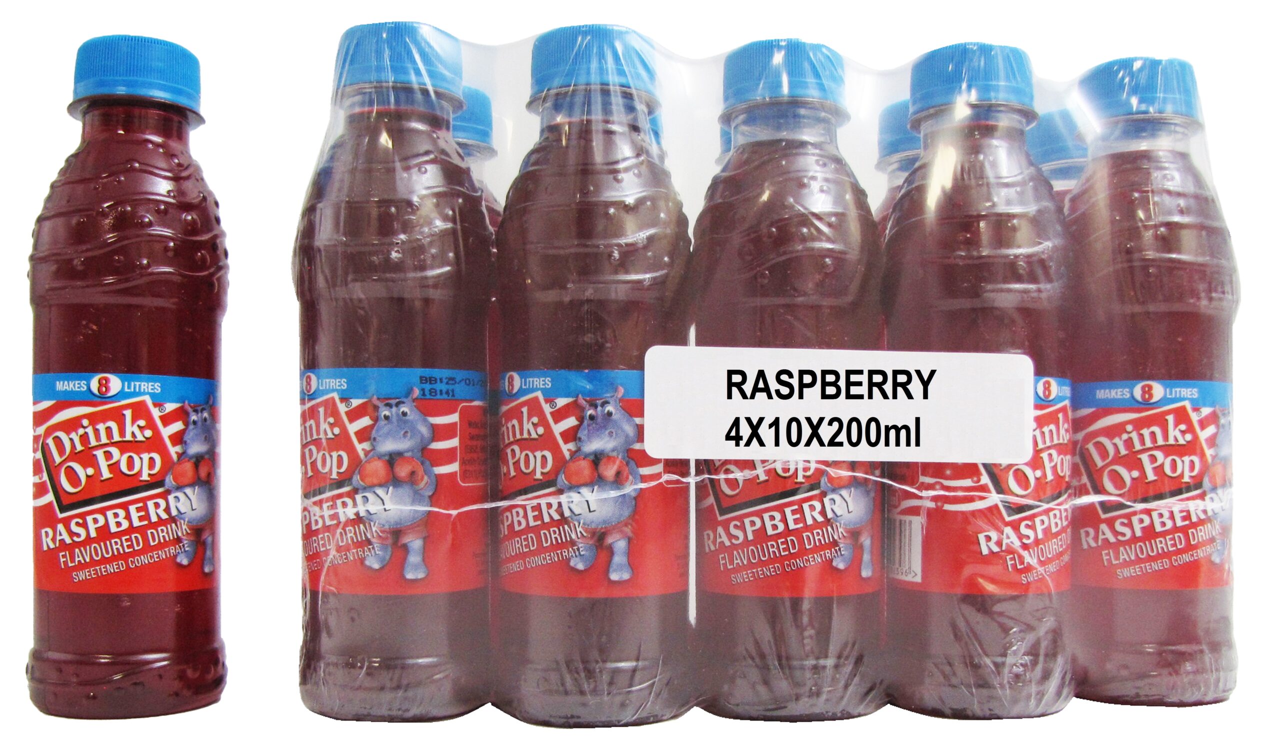 RASPBERRY CASE